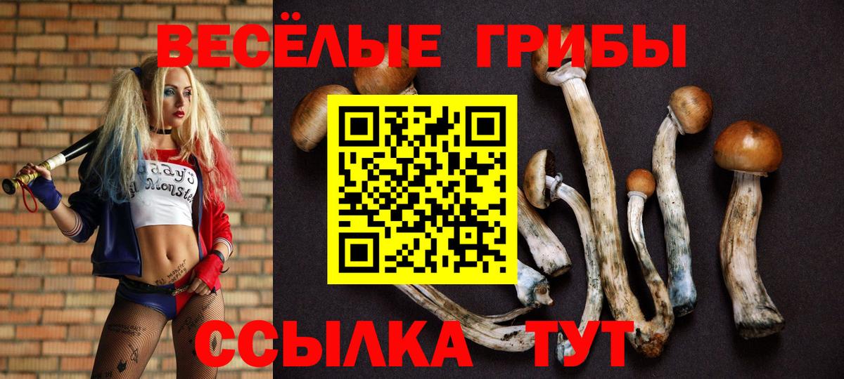 Галлюциногенные грибы Psilocybe Солнечногорск