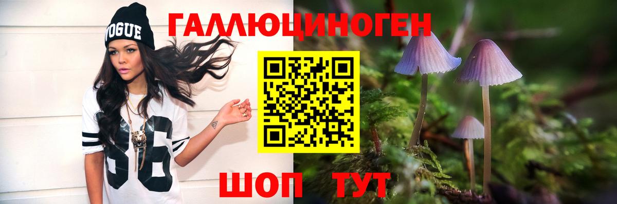 Солнечногорск  как найти закладки  Вход с VPN  Псилоцибиновые грибы мицелий 
